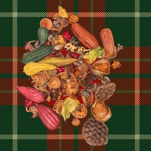 Dried Various Items Aprox 50 Items ( 1" to 4" each)